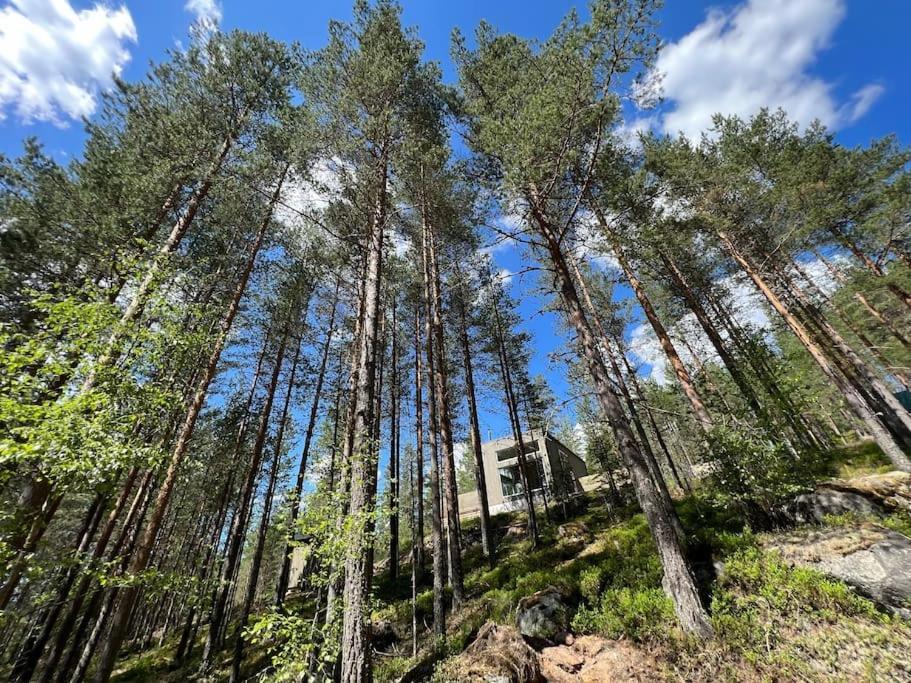 Tretoppen - Ny Moderne Hytte, Unike Finnskogen Torsby Ngoại thất bức ảnh