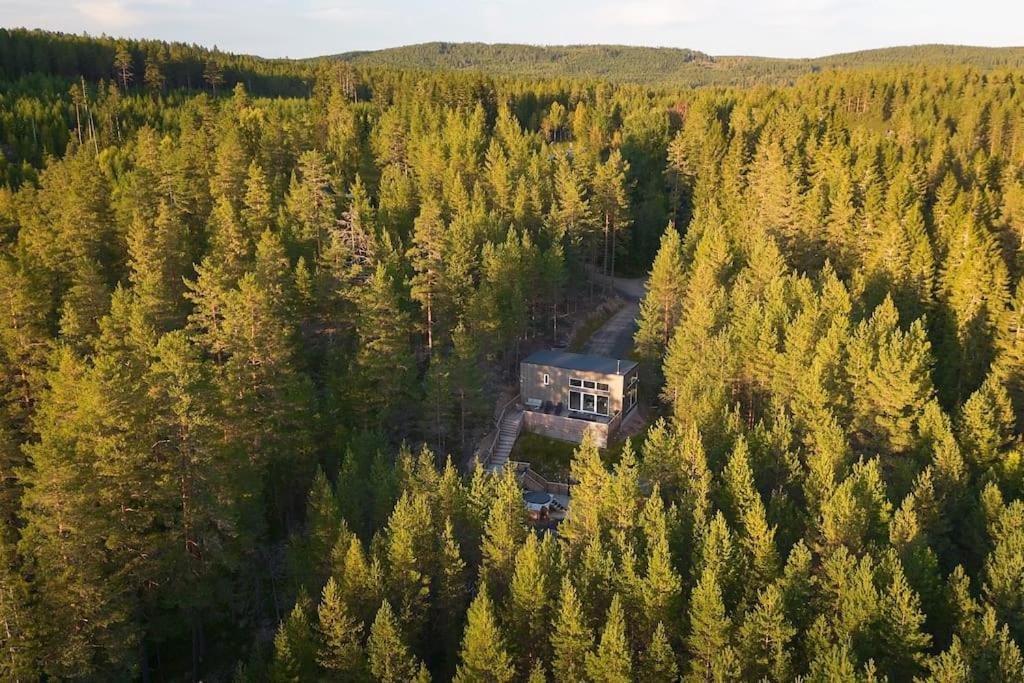 Tretoppen - Ny Moderne Hytte, Unike Finnskogen Torsby Ngoại thất bức ảnh