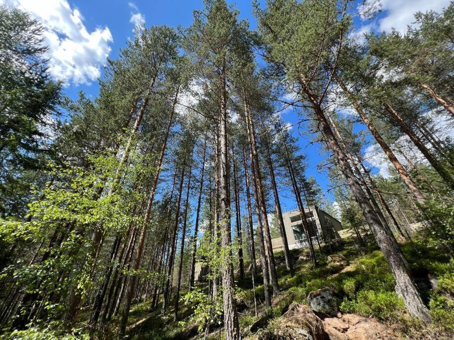 Tretoppen - Ny Moderne Hytte, Unike Finnskogen Torsby Ngoại thất bức ảnh