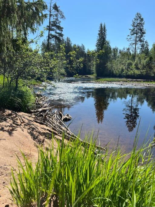 Tretoppen - Ny Moderne Hytte, Unike Finnskogen Torsby Ngoại thất bức ảnh