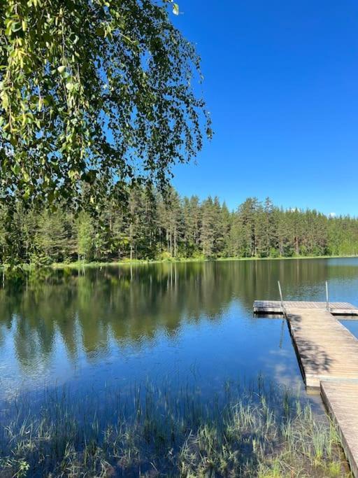 Tretoppen - Ny Moderne Hytte, Unike Finnskogen Torsby Ngoại thất bức ảnh