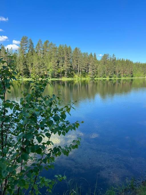 Tretoppen - Ny Moderne Hytte, Unike Finnskogen Torsby Ngoại thất bức ảnh